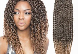 Simple Rasta Hairstyles Micro Hairstyles Simple Braids Hairstyles Awesome Micro Hairstyles