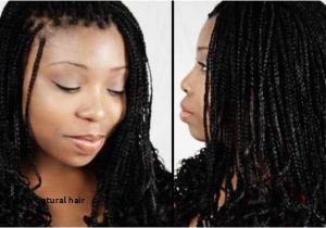 Simple Regular Hairstyles 16 Luxury Natural Hair Braids Hairstyle