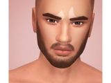 Sims 2 Male Hairstyles Download 596 Best Sims 4 Clay and Clayified Hair Images