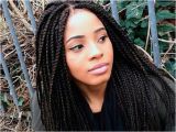 Single Twist Braids Hairstyles Hairstyles with Braiding Hair