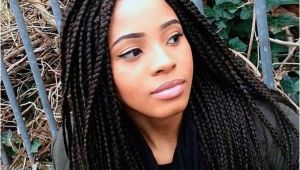 Single Twist Braids Hairstyles Hairstyles with Braiding Hair