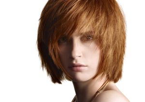 Soft Bob Haircut Layered Fully Layered soft Bob with the Hair Cut In A Steep Angle