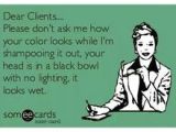 Someecards Hairstylist 146 Best It S A Salon Thing Images