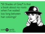 Someecards Hairstylist 37 Best Hair Stylist Humor Images