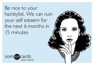 Someecards Hairstylist 42 Best Hairstylist Humor Images