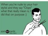 Someecards Hairstylist 56 Best Hair Humor Images