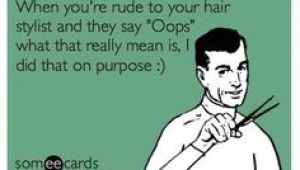 Someecards Hairstylist 56 Best Hair Humor Images