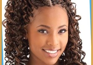 South African Braid Hairstyles 2013 Latest African Hair Braiding Styles 2013 Pertaining to the