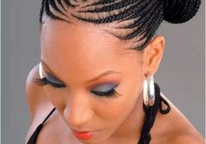 South African Braid Hairstyles 2013 Natural Black Updo Hairstyles for Women