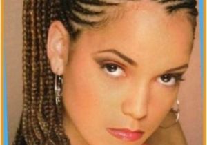 South African Braid Hairstyles 2013 Picture African American Braid Hairstyles