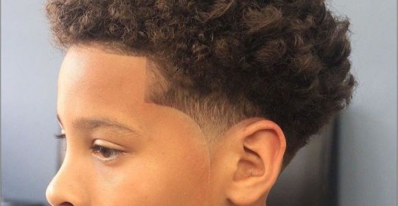 Toddler Boy Curly Hairstyles Little Black Boy Haircuts for Curly Hair