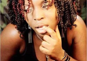 Two Braid Hairstyles for Black Women 25 Hottest Braided Hairstyles for Black Women Head