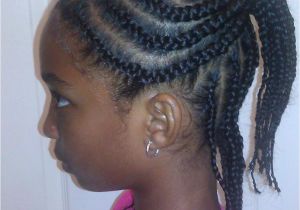 Two Layer Braids Hairstyles Two Layer Braids Hairstyles