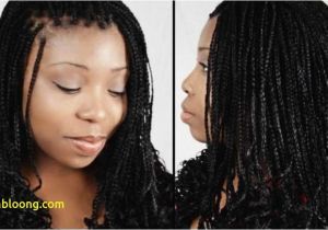 Types Of Cute Hairstyles Types Natural Hair Styles Hair Style Pics