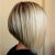 Vertical Bob Haircuts Vertical Bob Haircuts Consistentwith for Anyone who Wants