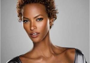 Very Short Curly Hairstyles for Black Women Short Hairstyles for Black Women 2013