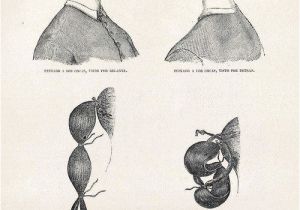 Victorian Hairstyles Bangs Easy Victorian Bun Pictorial Hair
