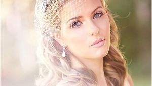 Vintage Wedding Hairstyles with Birdcage Veil Vintage Wedding Birdcage Veil Inspiration