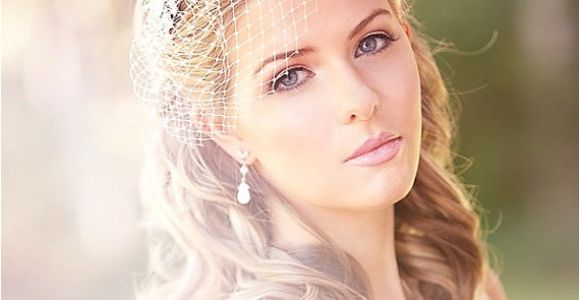 Vintage Wedding Hairstyles with Birdcage Veil Vintage Wedding Birdcage Veil Inspiration