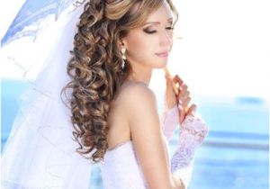 Wedding Hairstyles Curly Hair Veil Bridal Hairstyle Curly Down Do with Veil and Tiara