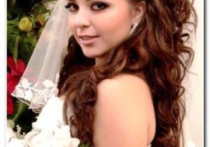 Wedding Hairstyles for Long Hair Half Up with Tiara Bridal Hair with Veil and Tiara