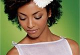 Wedding Hairstyles for Natural African American Hair Natural Wedding Hairstyles African American Hollywood