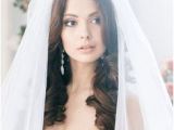 Wedding Hairstyles Hair Down Long Veil Long Hair Loose Curls Veil Google Search