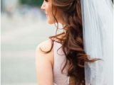 Wedding Hairstyles Half Up Half Down with Veil 70 Best Veil & Hairstyles Images