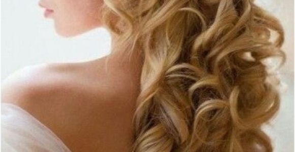 Wedding Hairstyles Half Up with Tiara Pin by Nectaria Kordan On Bridal Hair Pinterest