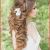 Wedding Hairstyles Out Girl Braiding Hairstyles Fresh New Wedding Hair Style