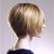 Wedge Bob Haircut Pictures Wedge Hairstyles for Short Hair
