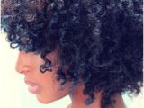 Wet 4c Hairstyles 868 Best Natural Hair Images