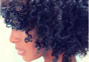 Wet 4c Hairstyles 868 Best Natural Hair Images