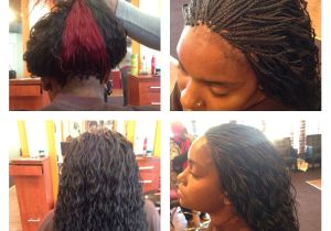 Wet N Curly Hairstyles Wet N Wavy Microbraids Mannequin Hair Braiding & Weaves 404 702